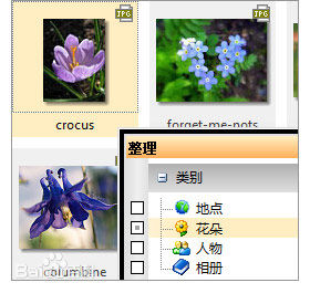制作缩印图片